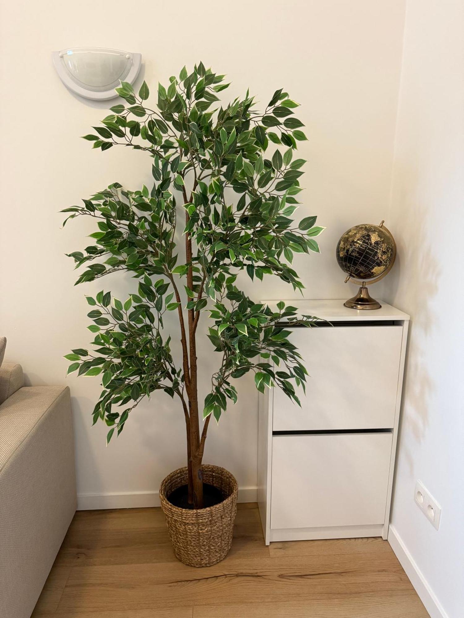 Cozy South-Up Apartment Brussel Bagian luar foto